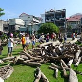 國際工作營