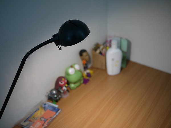 P1010544.JPG