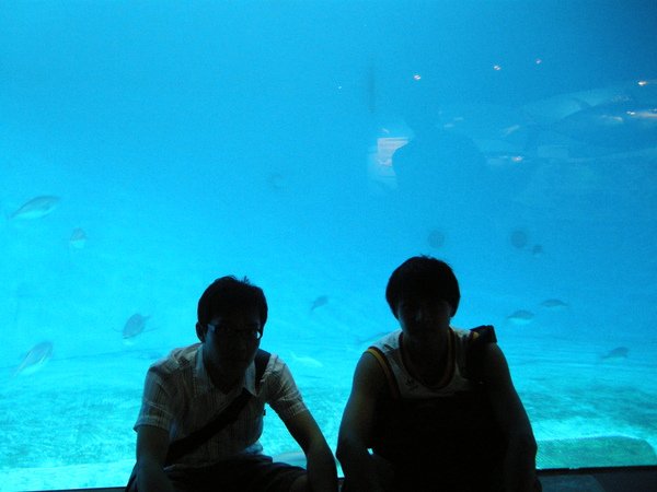 DSCN0511.JPG
