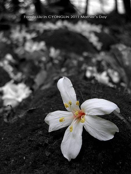 DSCN5504.jpg