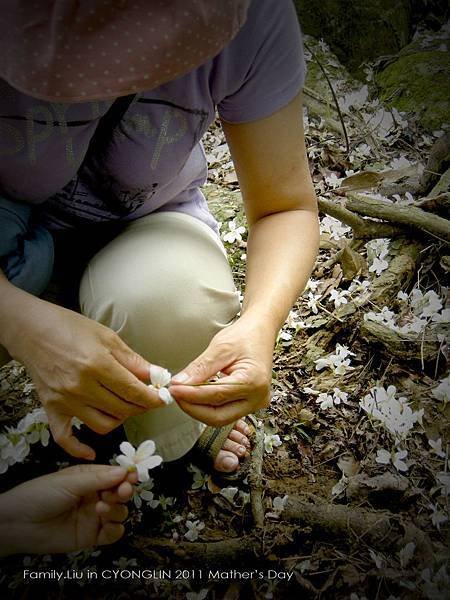 DSCN5547.jpg