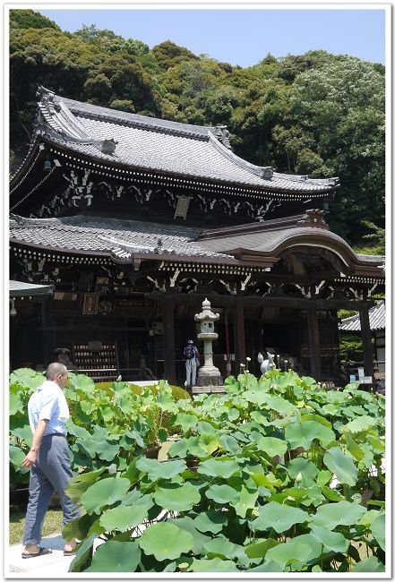 0712三室戶寺 (29).jpg