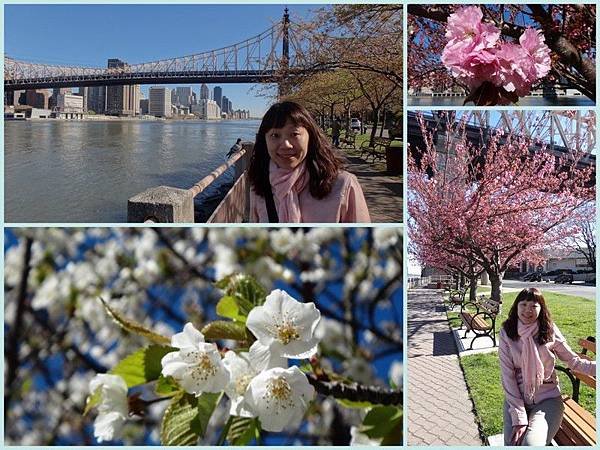 Apr 8 - Roosevelt island, Easter parade in 5th Avenue, CentraL park, Rockfeeller center, Top of the rock2