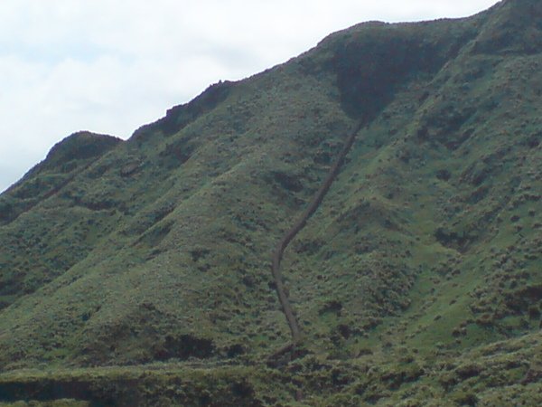 DSC01106.JPG