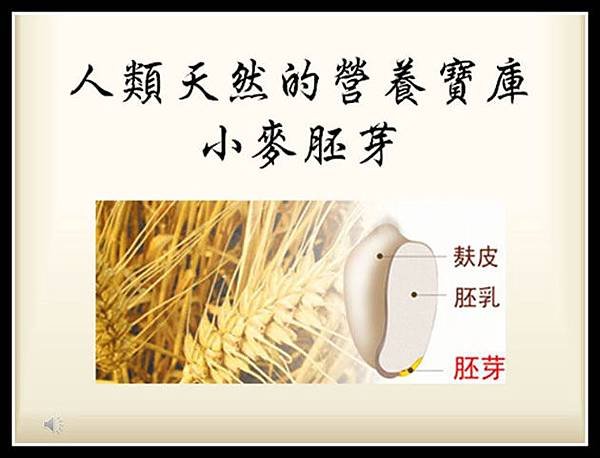 1小麥胚芽營養成份r