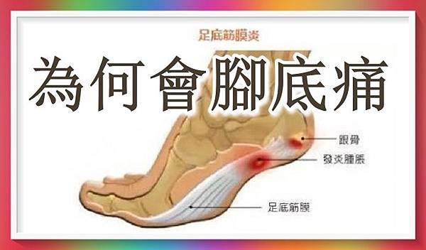 為何會腳底痛.jpg