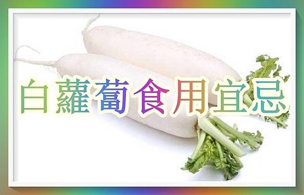 白蘿蔔食用宜忌.jpg