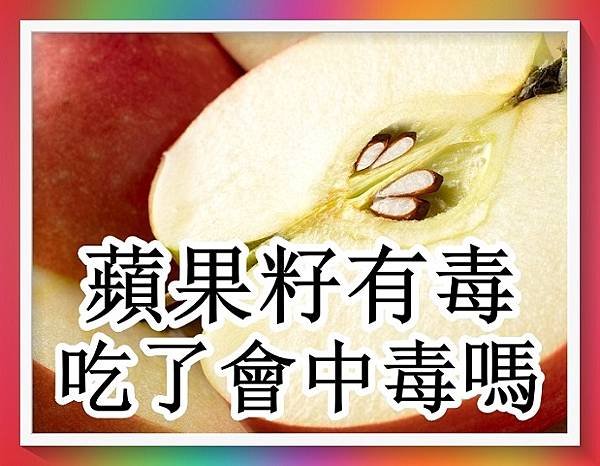 蘋果籽有毒！吃了會中毒嗎？4.jpg