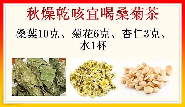 秋燥乾咳宜喝桑菊茶（國醫介紹）（秋冬養生湯水x）.jpg