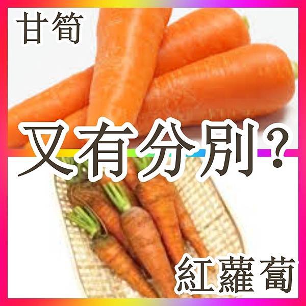 甘筍與紅蘿蔔又有分別？如何選擇才好？.jpg