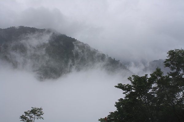 IMG_5481.JPG