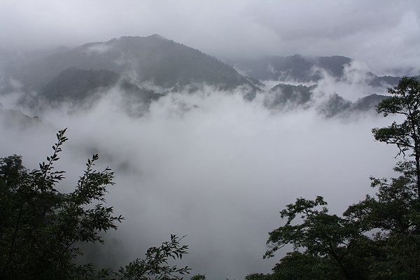 IMG_5496.JPG