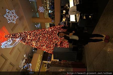 DSC01409.JPG