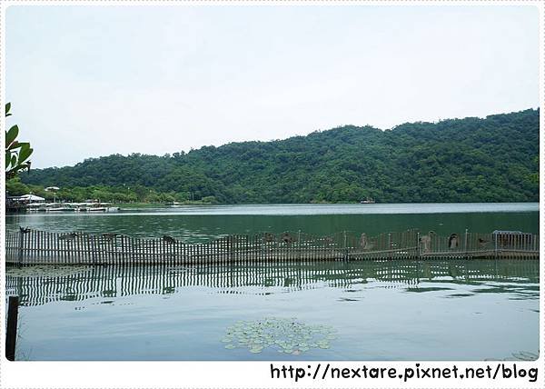 05.JPG