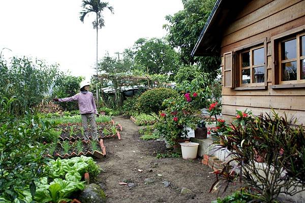 豐南部落~伊比桑的小屋