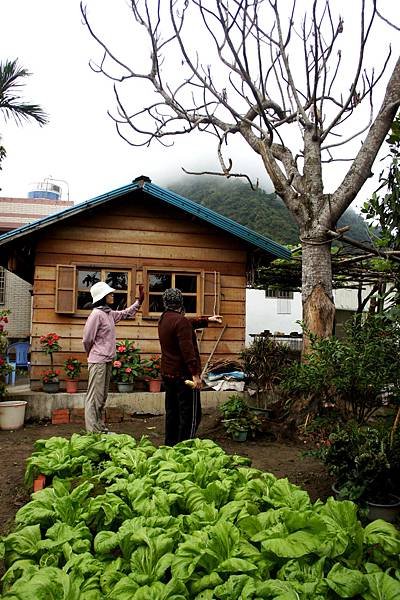 豐南部落~伊比桑的小屋