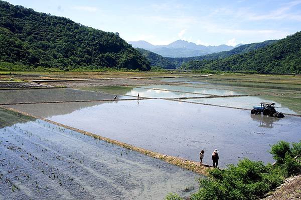 南安的田~花蓮卓溪~