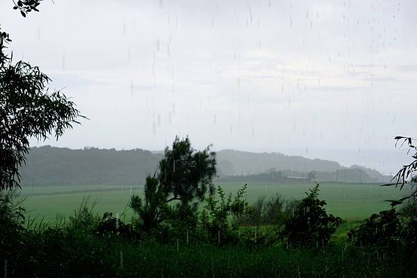 DSC03874.JPG