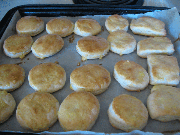 biscuits-1.gif