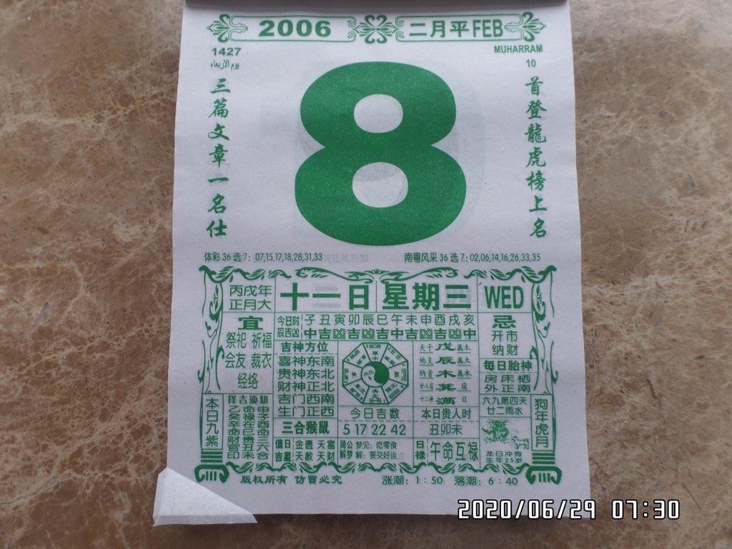 诞诞是个小三八.JPG