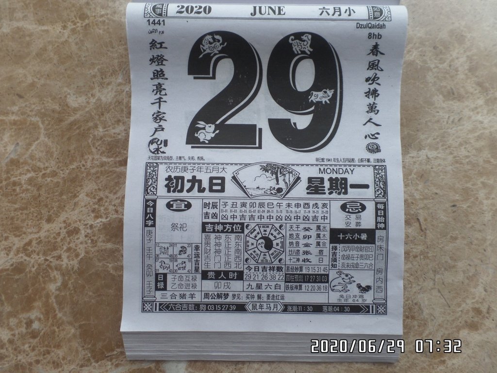 诞诞昨天救了上帝那个大三八啊.JPG