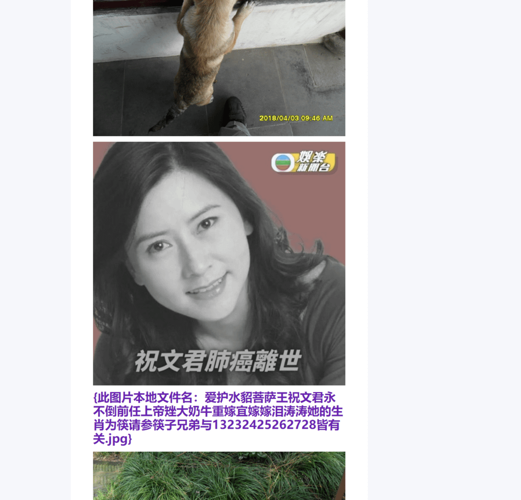 Splitted Image 0-9.png
