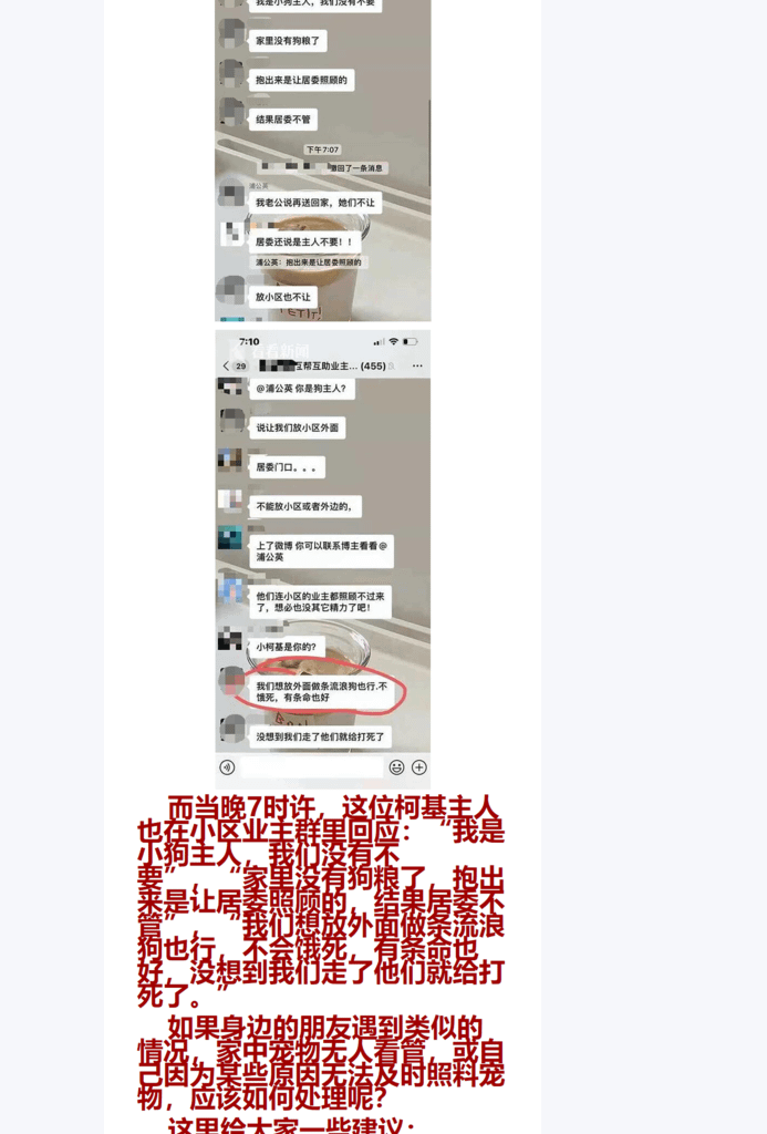 Splitted Image 0-3.png