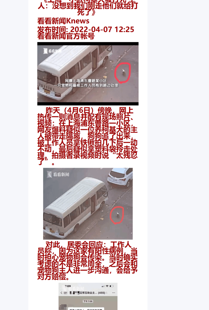 Splitted Image 0-2.png