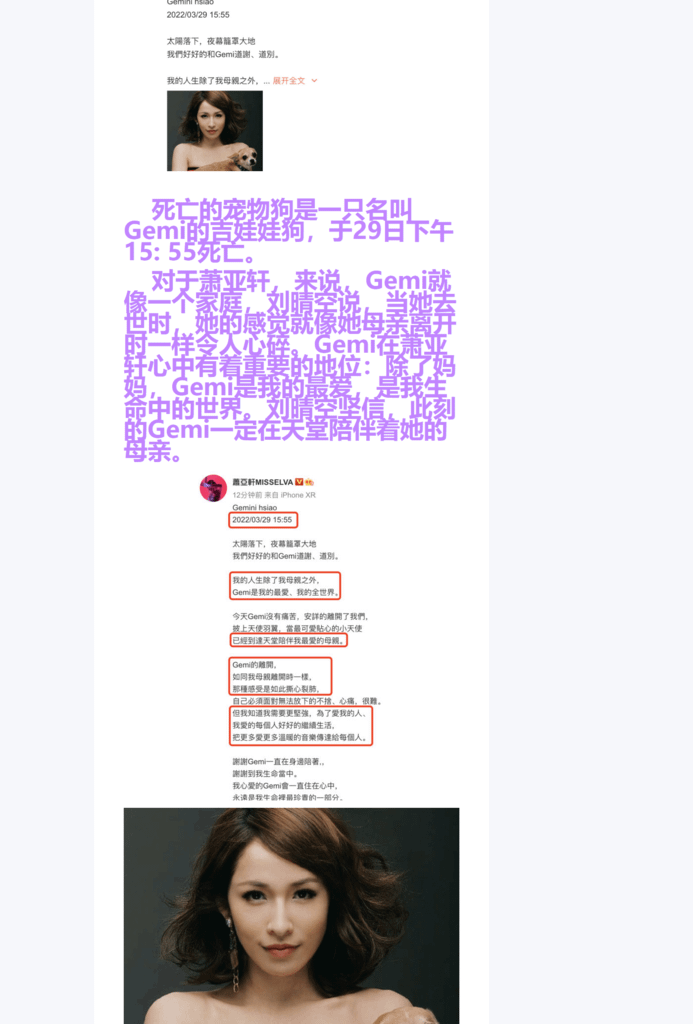 Splitted Image 0-7.png