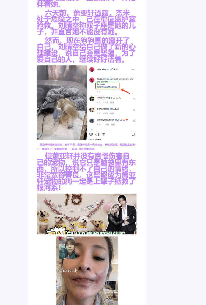 Splitted Image 0-11.png