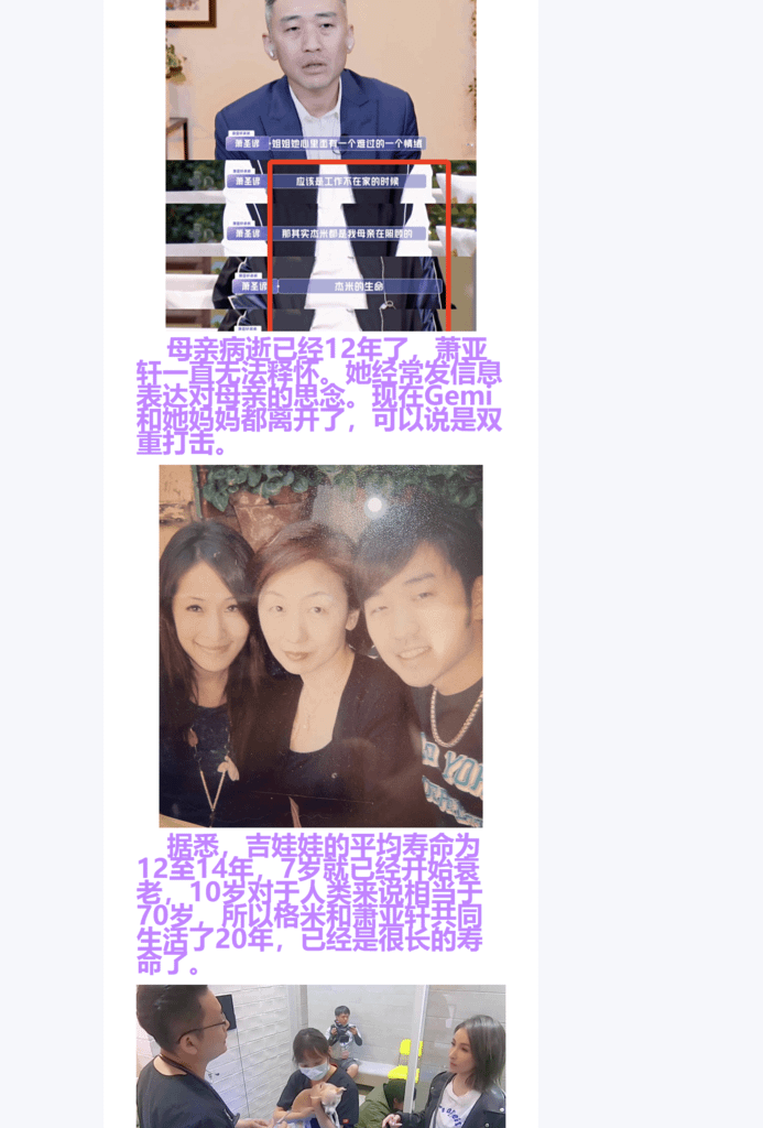 Splitted Image 0-9.png
