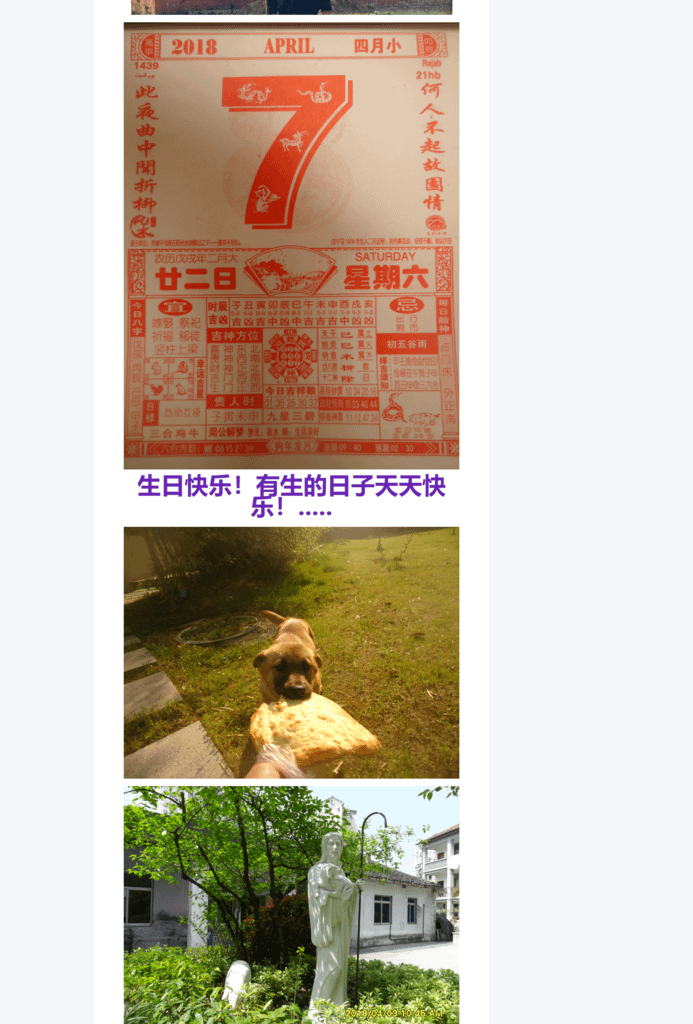 Splitted Image 0-3.png