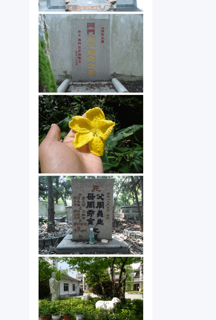Splitted Image 0-6.png