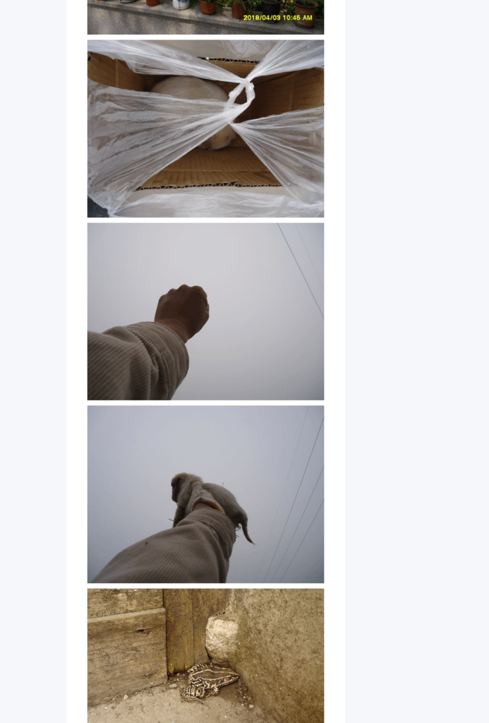 Splitted Image 0-7.png