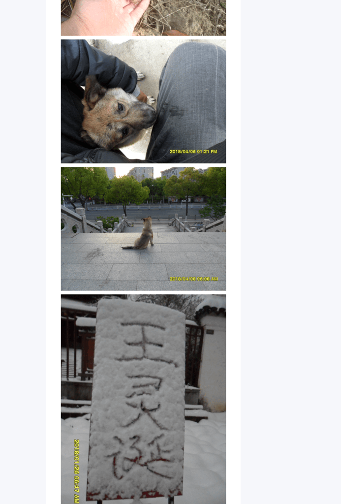 Splitted Image 0-9.png