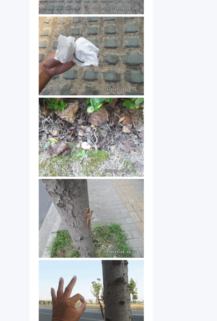Splitted Image 0-12.png