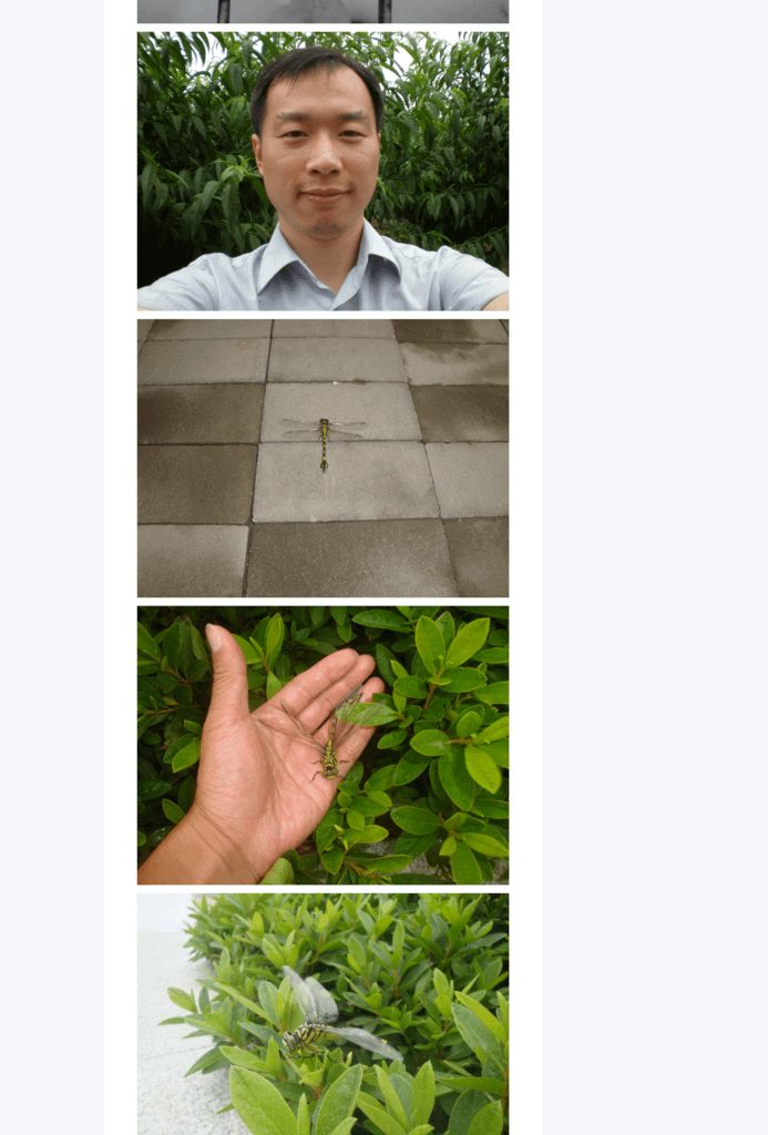 Splitted Image 0-10.png