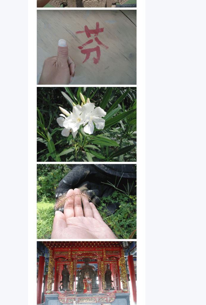 Splitted Image 0-5.png