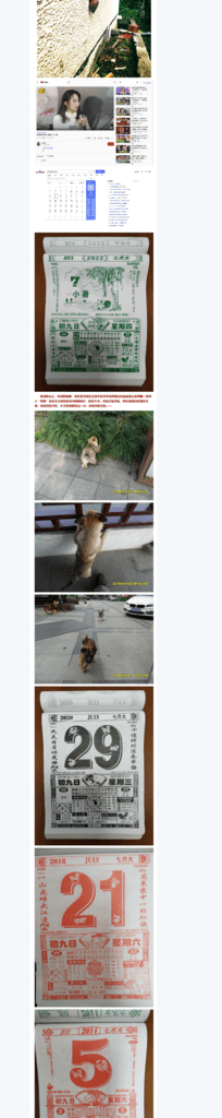 Splitted Image 0-3.png
