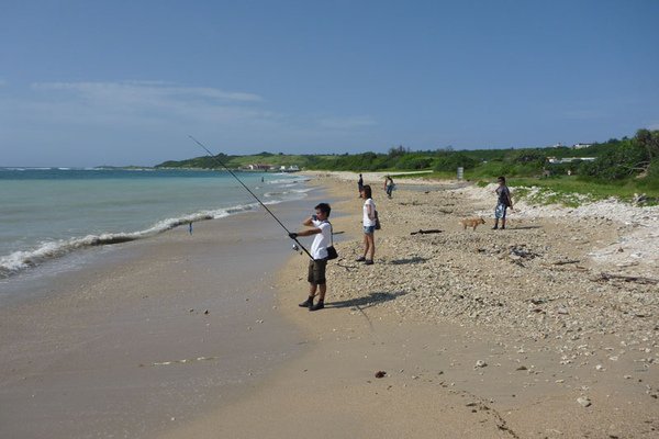 P1020391.jpg