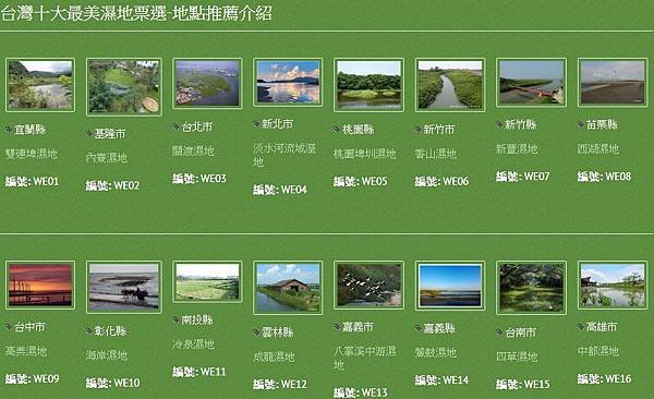 台灣十大最美濕地+國家重要新豐濕地(姜厝)/新竹縣新豐紅樹林