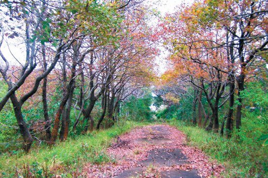 新竹縣新豐鄉爭取利用新庄子閒置營區闢建「客家文化園區」案，國