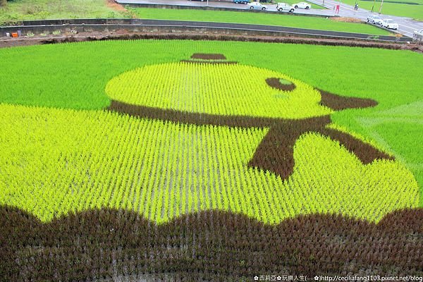 彩繪稻田/百年浮圳加持　伯朗大道、天堂路列文化資產+ 201