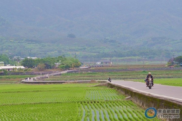 彩繪稻田/百年浮圳加持　伯朗大道、天堂路列文化資產+ 201