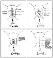 images (1)