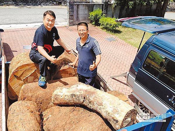 山老鼠+盜伐3塊總重近2百公斤台灣檜木+近二噸台灣檜木，除形
