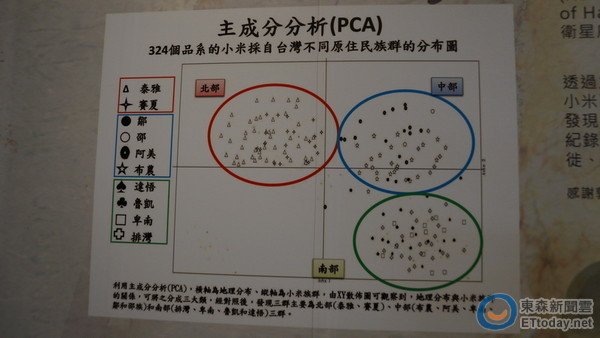 馬祖亮島的「亮島人」經DNA演化基因証實為最古老的南島民族/