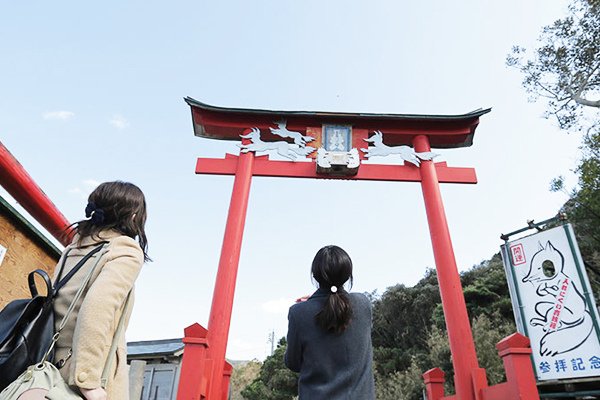 鳥居/桃園神社/臺灣神社列表所列者為日本統治臺灣50年期間日