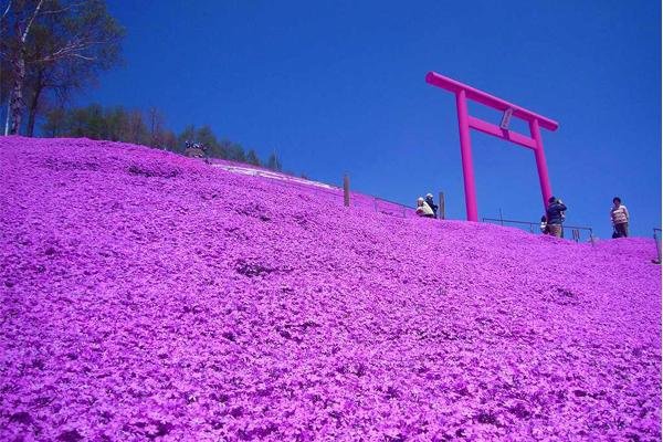 鳥居/桃園神社/臺灣神社列表所列者為日本統治臺灣50年期間日