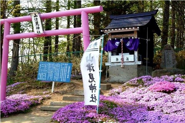 鳥居/桃園神社/臺灣神社列表所列者為日本統治臺灣50年期間日